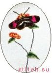 ����� ��� ��������� Thea Gouverneur 1021