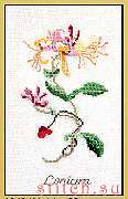 ����� ��� ��������� Thea Gouverneur 1049