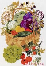 ����� ��� ��������� Eva Rosenstand 08-4176 (������� ��������)