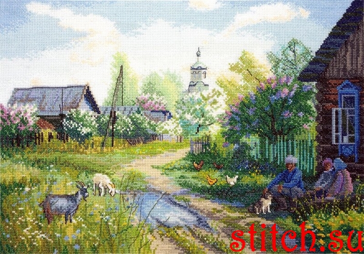 43020.jpg