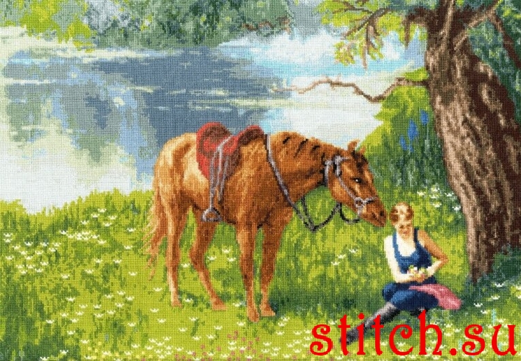 45424.jpg