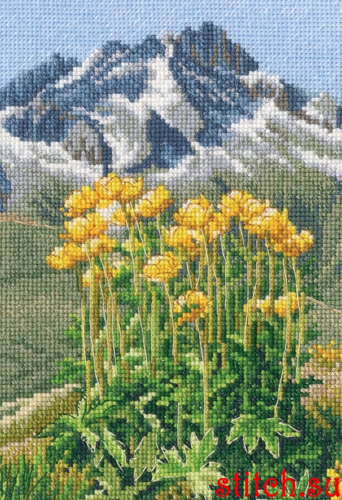 56584.jpg