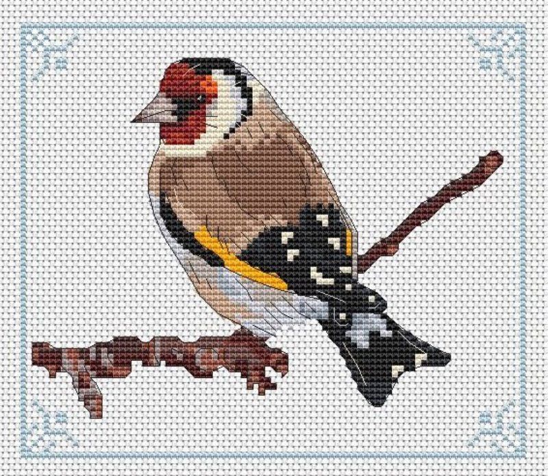 щегол схема. щегол дивная вишня. Clubrucodelnic вышивка. вышивка крестиком птичка в цветах. набор для вышивания щегол.