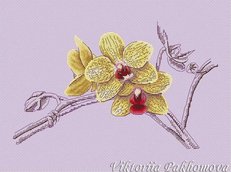 Схемы вышивки виктории пахомовой