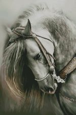 Авторская схема для вышивания Раманова Елена (Химера) #10329