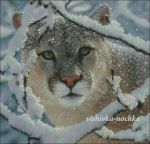 Схема для вышивания Ночевкина Наталья (Ночка) #12121