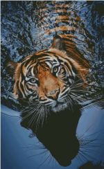 Схема для вышивания Раманова Елена (Химера) #12331