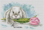 Схема для вышивания Петунова Анна #14821