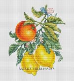 Схема для вышивания Черепанова Наталья (nata0179) #15888