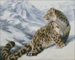 Схема для вышивания Кудрявцева Мария (keru) #16258