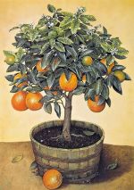 Схема для вышивания Барышникова Людмила (avtor-shem) #17189