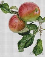 Схема для вышивания Раманова Елена (Химера) #17512