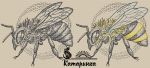 Схема для вышивания Саитова Екатерина (Катаринка) #18796