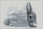 Схема для вышивания Кудрявцева Мария (keru) #18925
