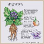 Схема для вышивания Бровко Мария #19173