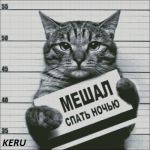 Схема для вышивания Кудрявцева Мария (keru) #20106