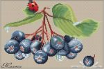 Схема для вышивания Адоньева Ксения #221