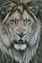 Схема для вышивания Раманова Елена (Химера) #23239