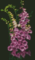 Схема для вышивания Раманова Елена (Химера) #24907