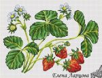 Схема для вышивания Ларцова Елена #25334