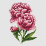 Схема для вышивания Полуэктова Евгения #25965