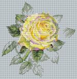 Схема для вышивания Волкова Екатерина #27163