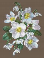 Схема для вышивания Окнеас Алиса #27621