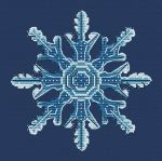 Схема для вышивания Абрамова Серафима #28212