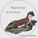 Схема для вышивания Абрамова Серафима #29308