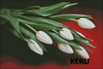 Схема для вышивания Кудрявцева Мария (keru) #29507