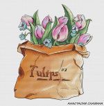 Схема для вышивания Славина Анастасия #30630
