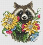 Схема для вышивания Швецова Анастасия (Raccoon) #30837