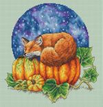 Схема для вышивания Швецова Анастасия (Raccoon) #30872