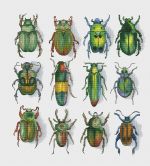 Схема для вышивания Окнеас Алиса #32463