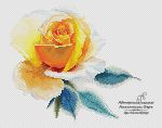 Схема для вышивания Берг Анастасия #35461