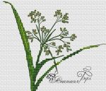 Схема для вышивания Берг Анастасия #35511