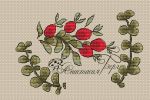Схема для вышивания Берг Анастасия #35532