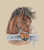 Схема для вышивания Митякина Елена #35682