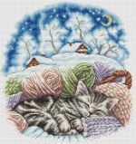 Схема для вышивания Швецова Анастасия (Raccoon) #36171