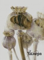 Схема для вышивания Раманова Елена (Химера) #36731