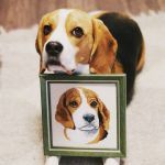 Схема для вышивания Нольфина Анна #36926