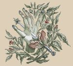 Схема для вышивания Окнеас Алиса #37555
