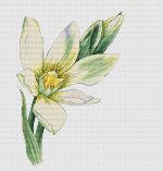 Схема для вышивания Мешкова Екатерина (oilima) #37838