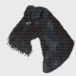 Схема для вышивания Нольфина Анна #38145