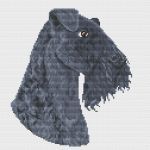 Схема для вышивания Нольфина Анна #38146
