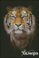 Схема для вышивания Раманова Елена (Химера) #39197