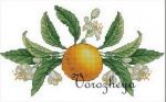 Схема для вышивания Зникина Татьяна (Ворожея) #39336