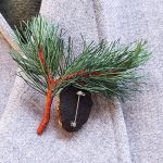 Схема для вышивания Кала﻿ев﻿а Елена #39675