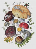 Схема для вышивания Мешкова Екатерина (oilima) #40659