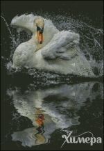 Схема для вышивания Раманова Елена (Химера) #40698